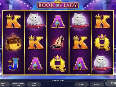 Видеослот Book Of Lady производителя Endorphina